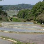 【てくてく歩記】バス&ウォーク 伊賀市諏訪~音羽~波敷野~馬場