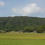 【てくてく歩記】「実りの秋」実感 晩秋の伊賀~月ヶ瀬を歩く