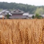 【てくてく歩記】変化に富んだ風景 伊賀市・ゆめが丘、友生