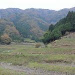 【てくてく歩記】伊賀市北西部をぐるっと一周10キロ 晩秋の島ヶ原