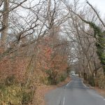 【てくてく歩記】住宅地から農村へ 名張市・桔梗が丘から北方