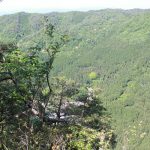 【てくてく歩記】新トレッキングコースを行く 赤目四十八滝・長坂山