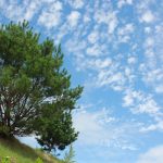 【てくてく歩記】初秋の柘植・甲賀を歩く 余野公園~小杉~甲賀市