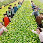 トイレ設置 就労支援の農園に 名張・あぐりの杜