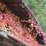 【てくてく歩記】木津川沿い 山間部を東西へ 青山・上津地区を歩く