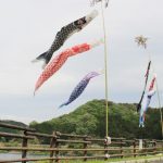 ダム湖上でこいのぼり泳ぐ 名張市の比奈知ダム
