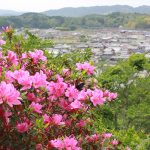 【てくてく歩記】初瀬街道周辺を一周 伊賀市・青山地区中心部