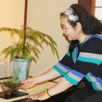 初夏の山野草展 伊賀・赤井家住宅 で
