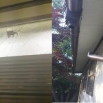 公園のトイレ窓ガラスなどが破損 名張市