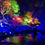 紅葉と滝を彩る光 名張・赤目四十八滝ライトアップ25日まで