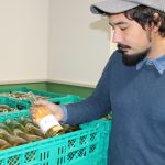 名張で醸造のワインを初出荷