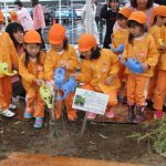 被爆2世アオギリを植樹 伊賀市役所で