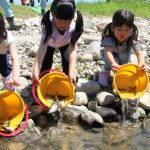 園児が稚アユ放流 伊賀市の服部川で