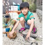 長女・長男一目ぼれ 2羽のチャボ 名張市夏秋・福西さん家族