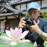 ハス開花 名張の青蓮寺で