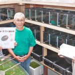 癒やしのメダカ見に来て 6、7日に桔梗が丘市民センターで