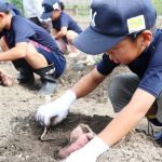 サツマイモ早めの収穫 伊賀・青山少年野球団