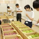 伊賀のブドウ品評会 甘く高品質な6点が入賞