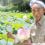 棚田で手入れ ハス30種 山添村・浦﨑さん