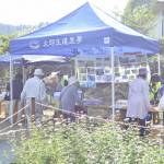 特産「マコモ」楽しむ収穫祭 5日・美杉で