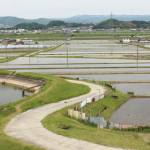 【てくてく歩記】点在するため池と水田地帯 伊賀市 大内・大野木・朝屋