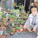 四季の花 鉢に“一句”添えて 伊賀市の奥さん