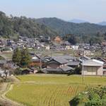 【てくてく歩記】丸柱・諏訪 晩秋の風景