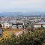 【てくてく歩記】初冬に巡る住宅地と山間部 つつじが丘・国津