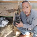 手作り小屋にウサギ17羽 名張市の大谷さん