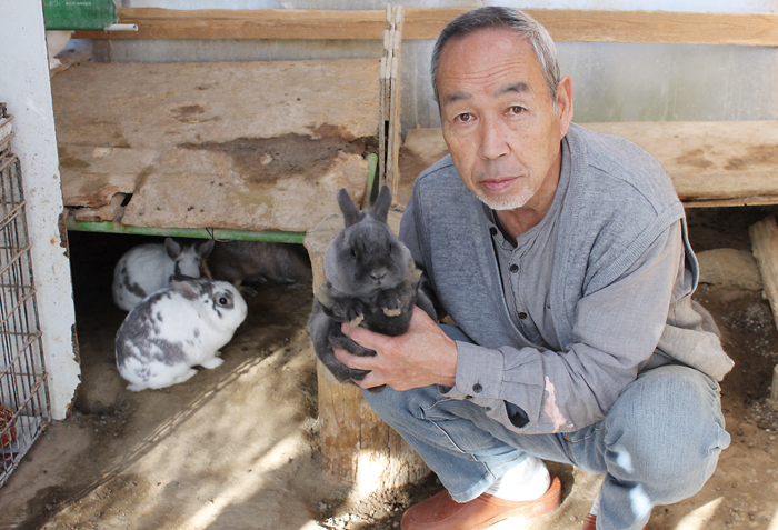 手作り小屋にウサギ17羽 名張市の大谷さん 伊賀タウン情報 You