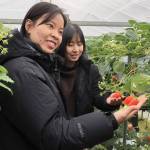 「東奈良名張」の魅力PR 海外の旅行業者招く