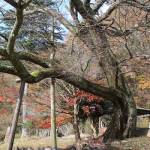 【てくてく歩記】山間の大山田・布引へ9・4キロ