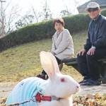 〝うさんぽ〟で人気者 伊賀・山下さん夫妻と「ミミちゃん」