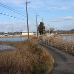 【てくてく歩記】池と野鳥に出会う道 佐那具駅から南東へ10・5キロ