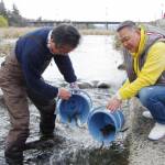 アマゴとニジマス110キロ放流 名張川と滝川で 釣り20日解禁