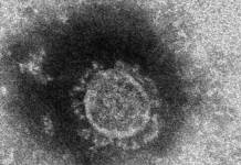 新型コロナ 大阪から名張に帰省の20代女性が感染 県内53例目