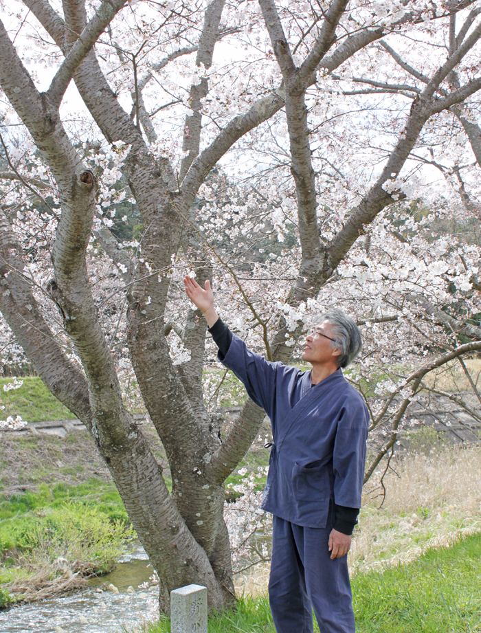 野がけ桜 は成長の証 35年守る伊賀市の米井さん 伊賀タウン情報 You