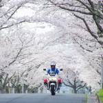 春の交通安全運動始まる 15日まで
