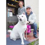理容店での交流が話題 名張・百合が丘から市街地へ 土井さんの愛犬「マシロ」