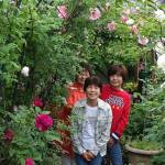 かれんなツルバラ 伊賀市の三浦さん