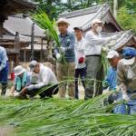 疫病よけの茅の輪作り 名張の宇流冨志禰神社