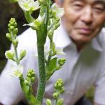 「寄り添う心」で咲く?伊賀市の中野さん方