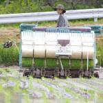 米作り「続ける意味」受け継ぐ 父の死きっかけに農業の道へ 伊賀市の喜久永さん