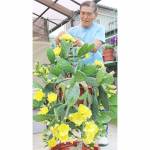 庭先は“サボテン王国” 名張市の高田さん方