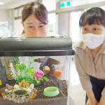 涼やかな音色で和んで スズムシ愛好家の元警察官 名張署へ寄贈