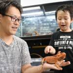 “個性豊か”癒やしトカゲ 名張の土居さん