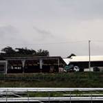 野積みの牛ふんで公害調停 地権者が申請 伊賀市の堆肥センター