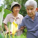 珍しい?サトイモ開花 98歳驚き「もう一度拝めるとは」