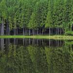 龍王ヶ渕 騒音で苦情 宇陀市が注意呼び掛け