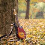 「ウクレレ」のある風景 四季と調和させ撮影 名張の安達さん